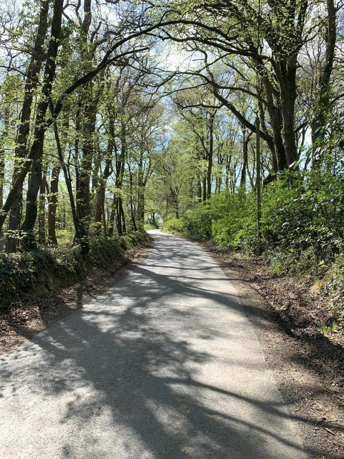 Molesworth Accommodation, Pyworthy, Devon Холсворті Екстер'єр фото