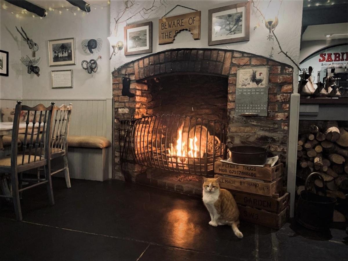 Molesworth Accommodation, Pyworthy, Devon Холсворті Екстер'єр фото