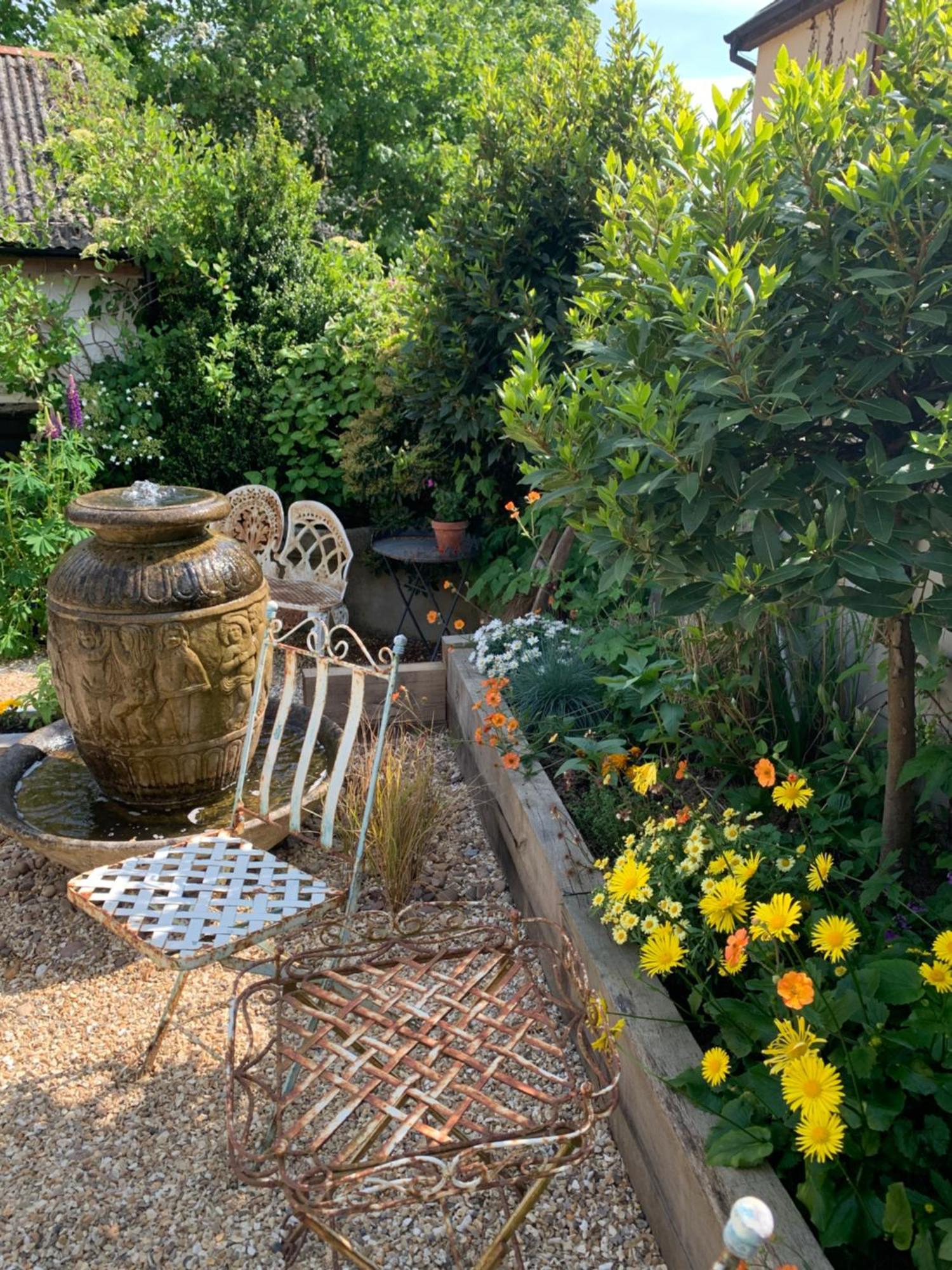 Molesworth Accommodation, Pyworthy, Devon Холсворті Екстер'єр фото