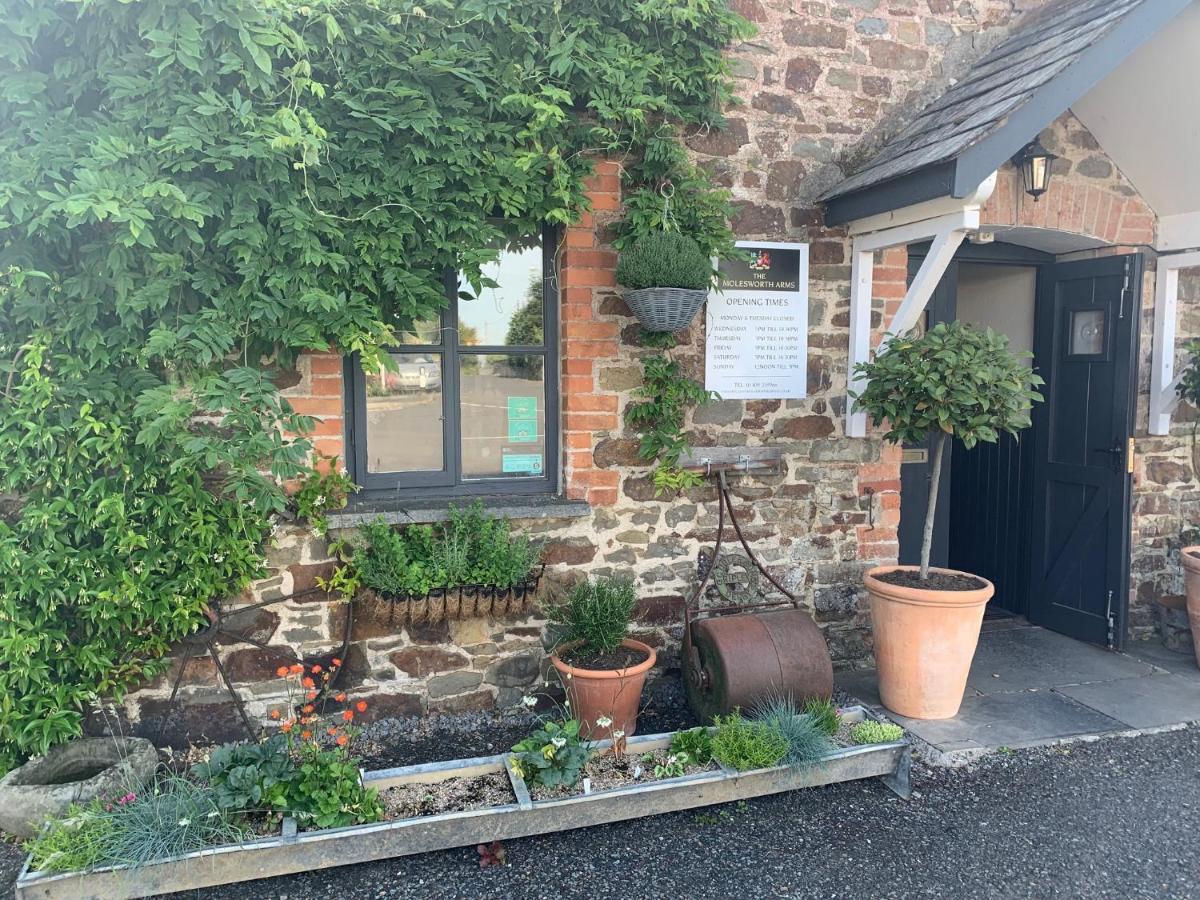 Molesworth Accommodation, Pyworthy, Devon Холсворті Екстер'єр фото